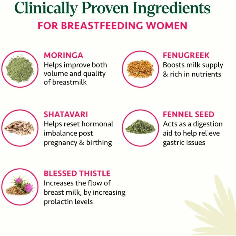 모링가, 훌루바, 회향씨 등이 함유된 아유르베딕 수유  - Ayurvedic & Herbal Wellness Kits 리뷰 및 가격
