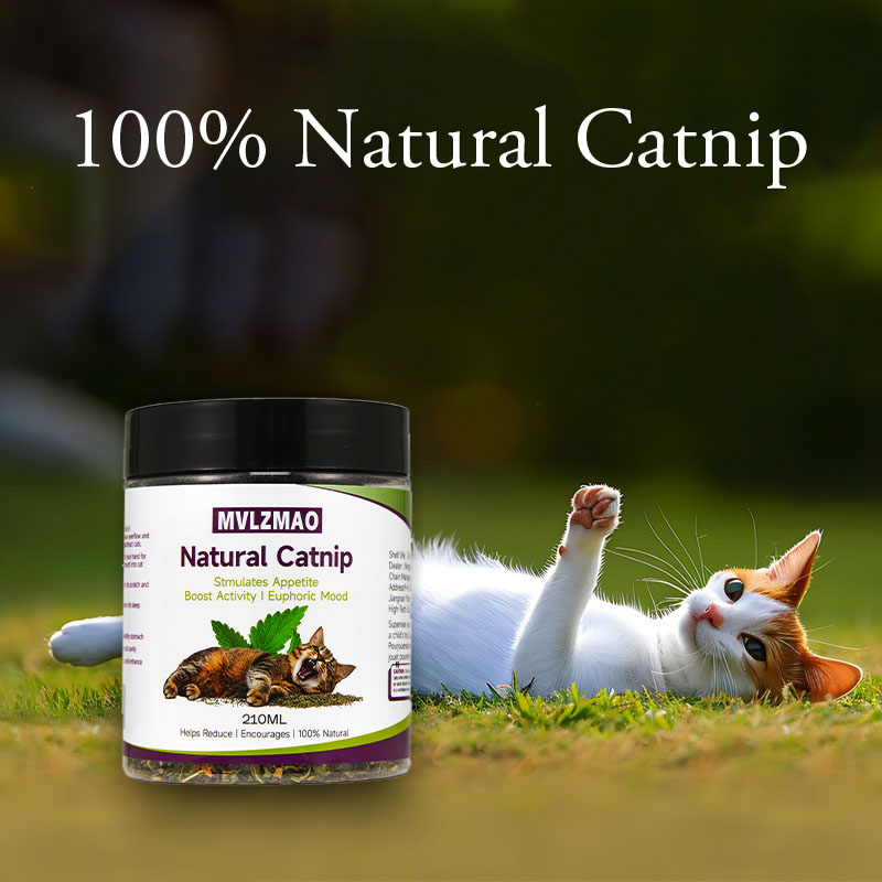 고양이 장난감 - 고양이용 실버바인 개박하, 100%  - Herbal Wellness Products 리뷰 및 가격